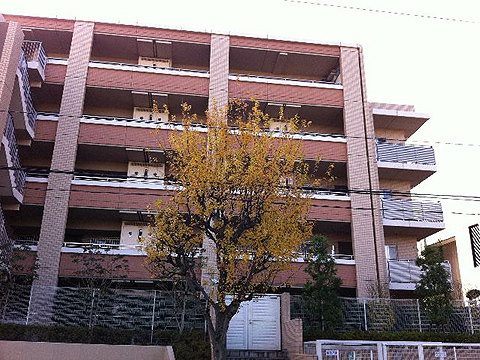 その他共用部　外観2