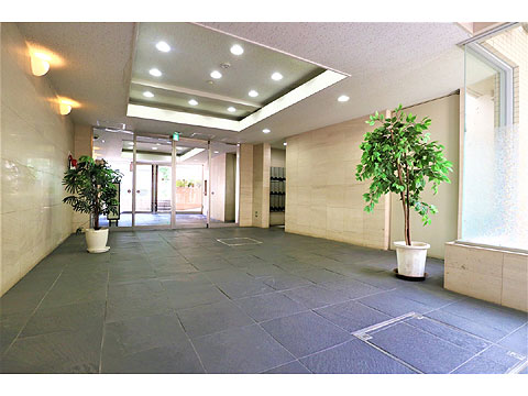 エントランス　ホール