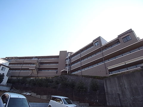 現地外観写真 外観