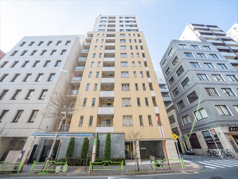 現地外観写真 外観