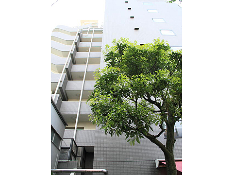 その他共用部 外観2