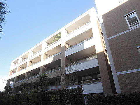 現地外観写真 外観