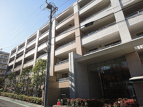 現地外観写真 外観