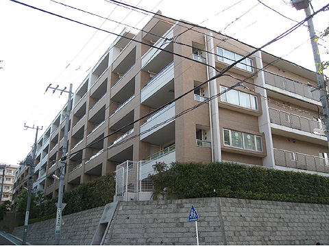 現地外観写真 外観