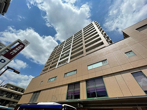 現地外観写真　マンション外観