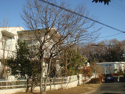 その他共用部 外観3