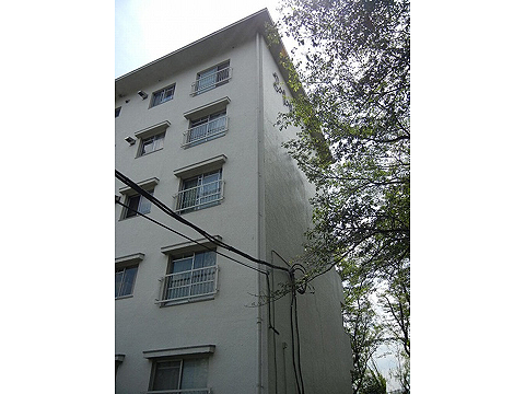 その他共用部 外観3