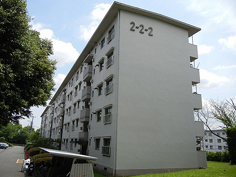 その他共用部 外観3