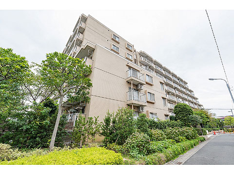 現地外観写真 外観