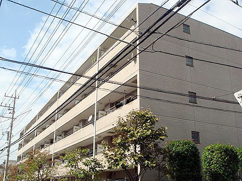 現地外観写真 外観