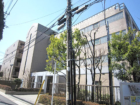 現地外観写真 外観