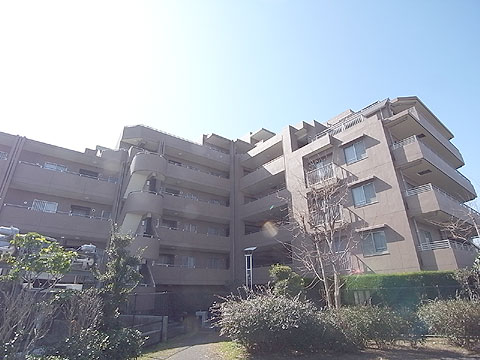 現地外観写真 外観