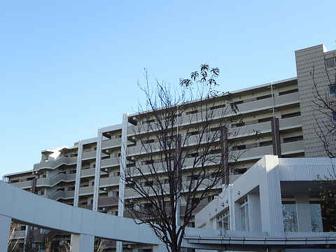 その他共用部　外観6