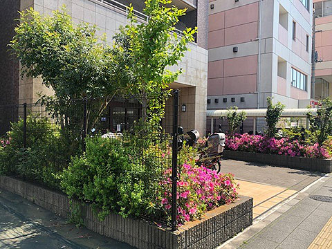 現地外観写真　9