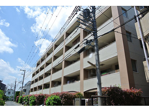 現地外観写真 マンション外観