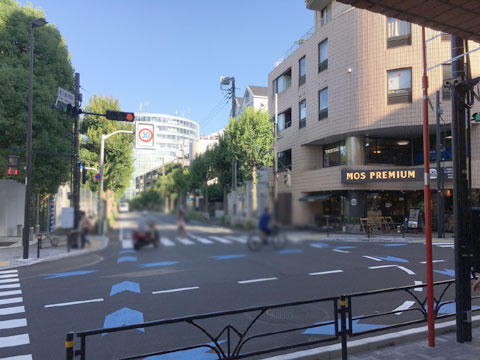 現地土地写真 エントランスから臨む前面道路