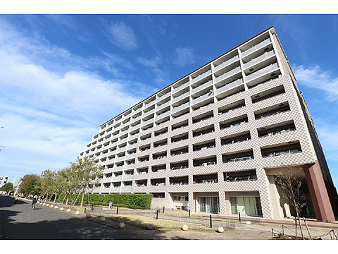 現地外観写真 外観