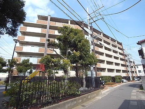 現地外観写真 南側外観