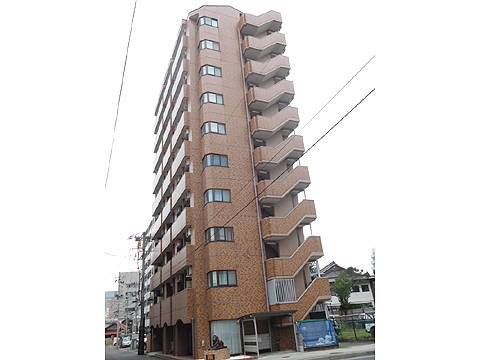 現地外観写真 外観