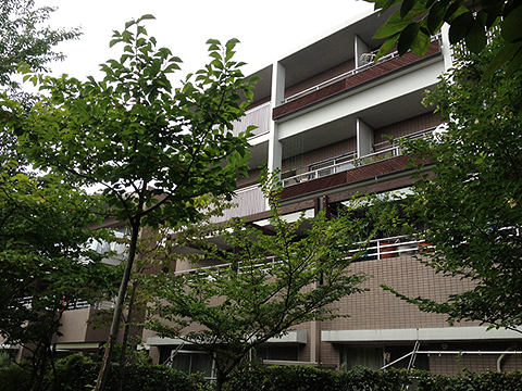 その他共用部 外観3