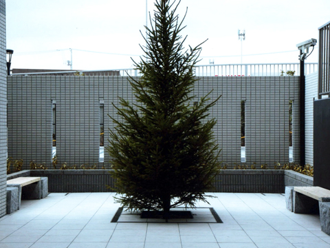 その他共用部 プラツァテラス