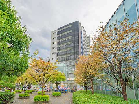 現地外観写真　外観