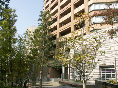 その他共用部　写真1