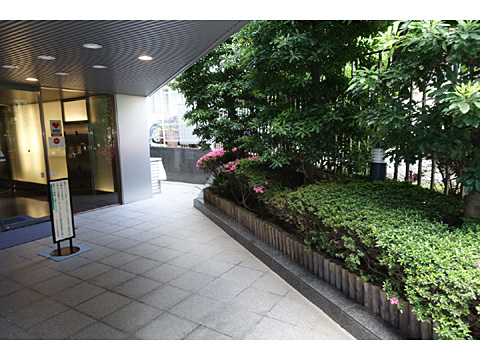 現地土地写真 植栽