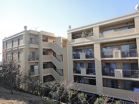 現地外観写真 外観