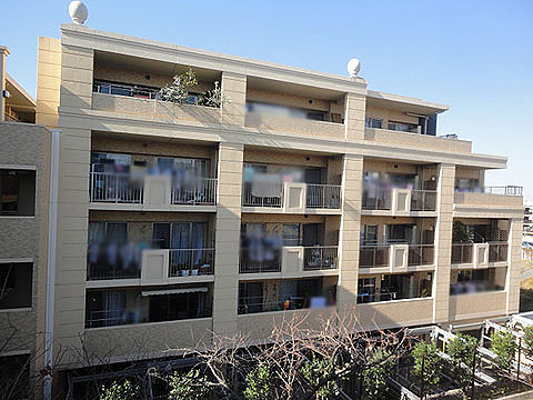 現地外観写真 外観