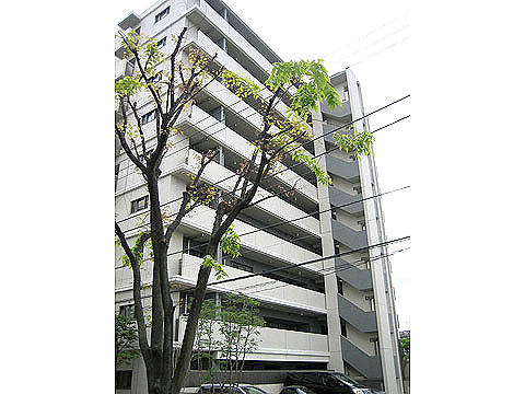 現地外観写真　外観3