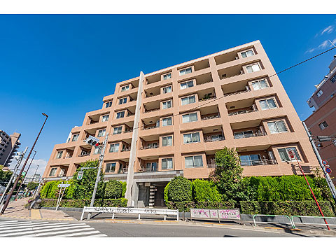 現地外観写真 外観