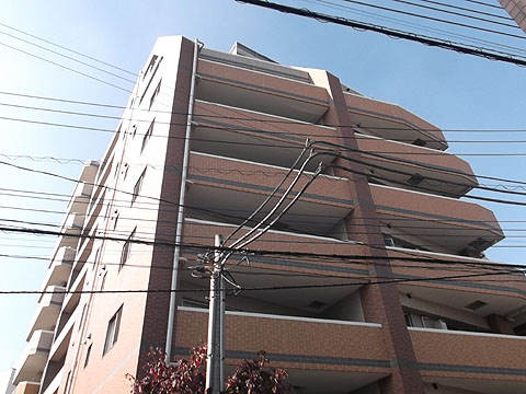 その他共用部 外観2