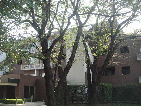 その他共用部　外観3