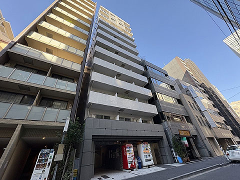 現地外観写真　地上１２階建て、総戸数５３戸