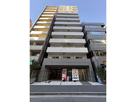 現地外観写真　白を基調とした外観フォルム