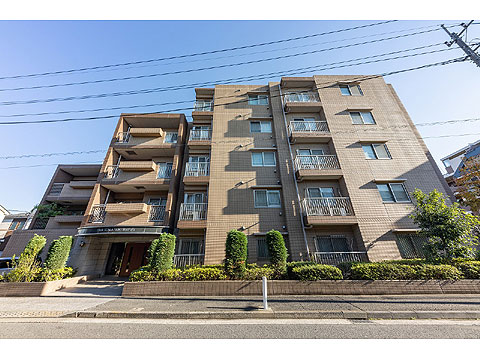 現地外観写真 外観