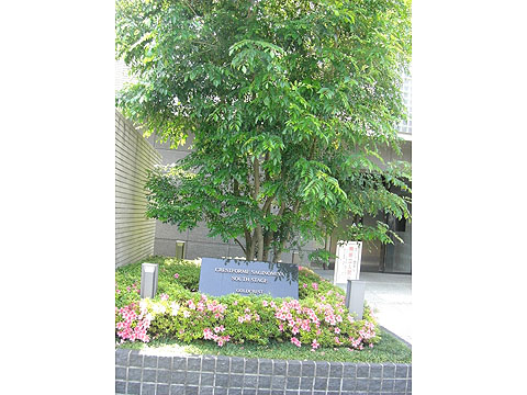 その他共用部　写真1