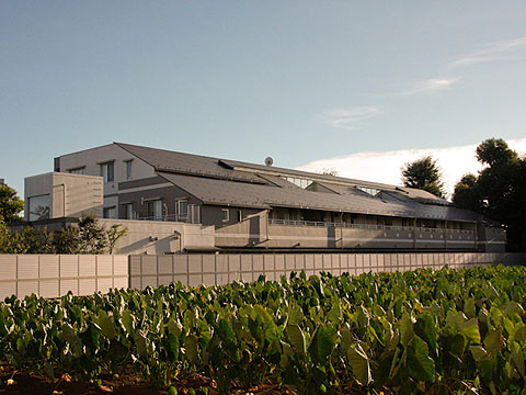 その他共用部 外観2