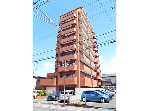 現地外観写真 外観