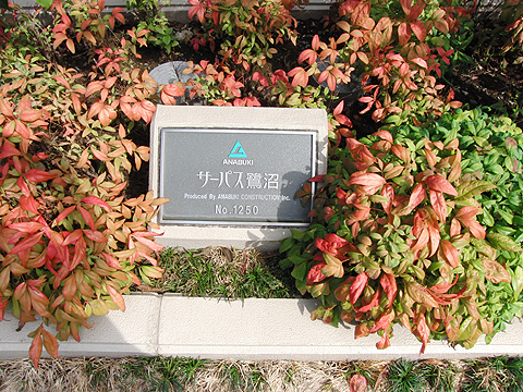 その他共用部　写真１