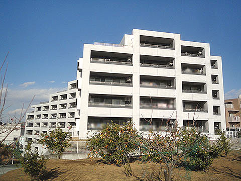 現地外観写真　外観