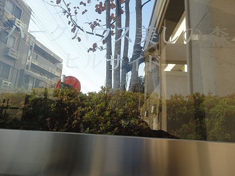 その他共用部　写真1