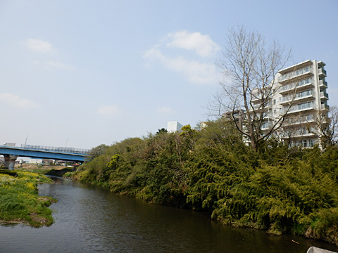 その他共用部 現地外観