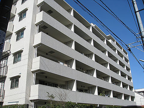 現地外観写真 外観