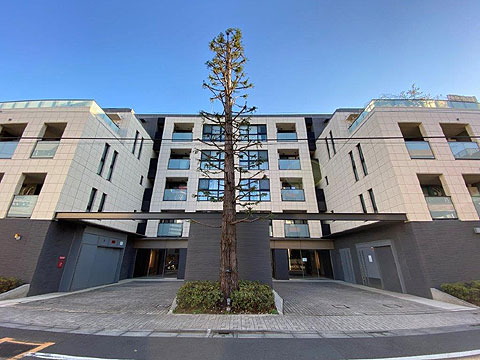 現地外観写真　現地外観写真