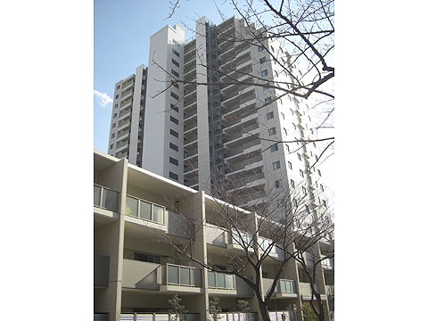 現地外観写真 外観