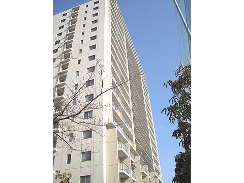 現地外観写真 外観