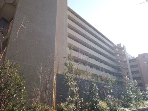 その他共用部　外観2