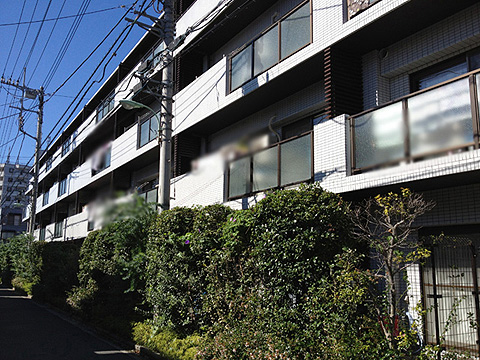 その他共用部 外観3